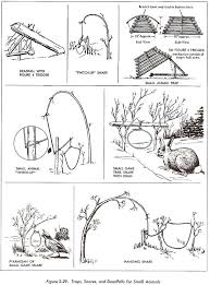 Wilderness Survival Techniques Giode Food Gear Medicine Tools Water Fire Survival Skills Wilderness Survival Survival Techniques