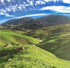 Rolling Green Hills Of Spring Wheregalswander Spring Pictures Santa Clarita Redondo Beach