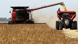 Se eleva la proyección de producción de trigo - Agritotal