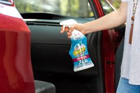 Car Cleaning Odor Eliminators Car Smell Odor
