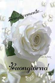 Pin Di Enza Giannone Su Buongiorno Auguri Di Buongiorno Buongiorno Immagini Buongiorno