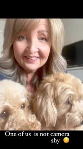 My camera shy toy cockapoos Lulu and Angel #cockapoolove  #cockapoosofinstagram #puppylove #doglover #toys #toycockapoo  #dogsofinstagram #dogslife