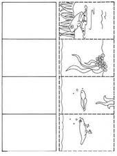 Life Cycle Frog Coloring Page Life Cycles Frog Life Animal Life Cycles
