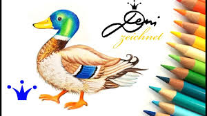 Ente Zeichnen Stockente Malen How To Draw A Duck Comment Dessiner Un Canard Youtube