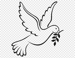 5 out of 5 stars. Columbidae Doves As Symbols Peace Symbols Drawing Flying Hope White Leaf Png Pngegg