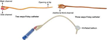 Maybe you would like to learn more about one of these? Jaypeedigital Ebook Reader