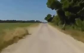 Join for free log in my subscriptions videos i like. Big Tits Rally Racing Biguz Net
