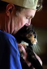 See more ideas about print ads, creative advertising, ads. Snap Cats Offers Help For Special Needs Felines