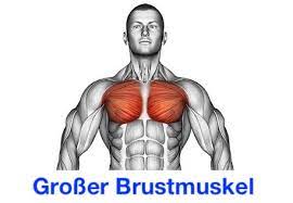 Bei den brustmuskelübungen werden folgende muskeln. á… Brust Ubungen Ohne Gerate Top 4 Bilder Videos