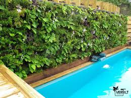 Mur Vegetal Exterieur Au Bord D Une Piscine Mur Vegetal Exterieur Mur Vegetal Amenagement Exterieur