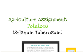 Agricultural Assignment Potato By Taylor Barrow On Prezi