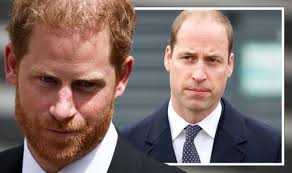 Prince Harry's 'bitter explosion' after William 'dragged family' into  brothers' row | Royal | News | Express.co.uk