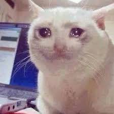 Kedim 12 Kattan Dustu Iyilesti