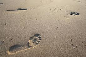 I looked back at the footprints in the sand. Sand Beach Foot Footprint Sea Nature Feet Print Footsteps Foot Step Grain Of Sand Pikist