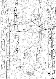 Coloring books aren't just for kids: January Coloring Pages Best Coloring Pages For Kids Coloring Pages Winter Bird Coloring Pages Detailed Coloring Pages