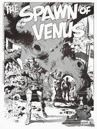 Wallace Wood Art Comic Frame Fantasy Artist