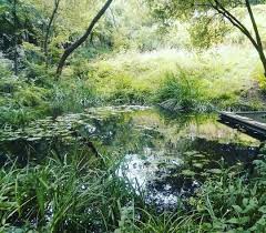 Le Jardin Naturel 120 Rue De La Reunion 75020 Paris Hypathie Hypathie Sur Instagram Jardin Naturel Jardins Et Paris Insolites