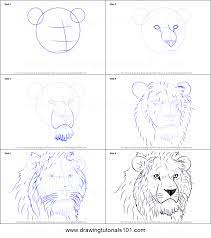 How to draw simba from lion king | step by step drawing tutorials. How To Draw A Lion Full Body Step By Step Novocom Top