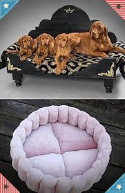 cheapest dog beds for both large small dogs absolutely amazing elevated dog bed dog step for bed or even see cool dog beds cheap dog beds dog steps for bed