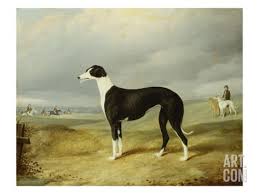 Black And White Greyhound A Black And White Greyhound In An Open Landscape With Hunters And Huntsmen Beyond Giclee Print By John Barwick At Art Com Dog Art Greyhound Art Art
