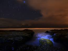 In The Tide Pool Along Shell Beach At Night This Is A Time Exposure I Took As Waves Closed In On Me Beach At Night Beach Photos Tide Pools