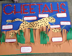 Cheetah Project Poster Science Fair Projects Fair Projects Projects For Kids