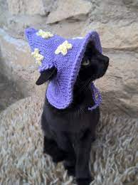 Purple Wizard Cat Hat Wizard Hat For Cat Wizard Hat For Etsy Hat For Cat Pet Costumes Cute Animals