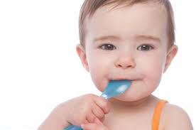 Wisconsin's YumTum Baby Food