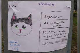 cizdigi resimle benekli yi arayan yagmur sosyal medyayi salladi