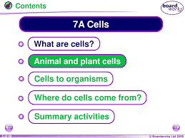 Ks3 new for the activate 1 resource 'cells' unit. Ks3 Biology 7a Cells Ppt Download