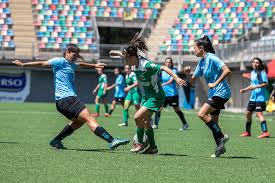 Go on our website and discover everything about your team. Cdifem Iquique Cayo Ante Audax Italiano Sc