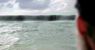 She was formerly a dragonet of destiny and is partially responsible for the end of the war of sandwing succession. 1858 Tsunami In Der Nordsee W Wie Wissen Ard Das Erste