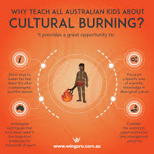 Cultural Burning Land Management Using Fire Aboriginal Education Indigenous Education Childrens Learning