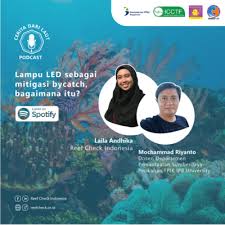 We did not find results for: Lampu Led Sebagai Mitigasi Bycatch Bagaimana Itu By Cerita Dari Laut A Podcast On Anchor
