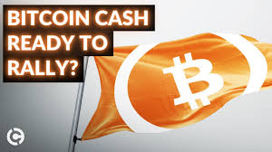 Bitcoin cash price forecast at the end of the month $600, change for january 9.3%. Bitcoin Cash Price Analysis February 2021 Bch Preparing For A Rally Youtube