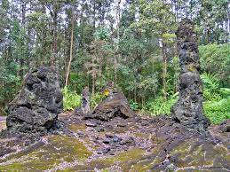 Check spelling or type a new query. Lava Tree State Monument Big Island Hikes