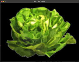 Image result for blur opengl