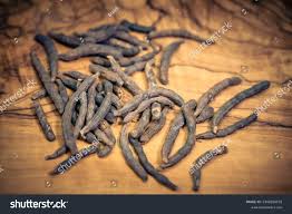 Image result for Xylopia aethiopica