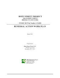Maybe you would like to learn more about one of these? Https Www Dec Ny Gov Data Decdocs C224281 Work 20plan Bcp C224281 2021 03 03 Remedial 20action 20work 20plan 20 20final Pdf