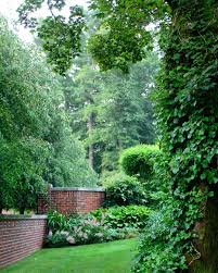 Gardens At First Light On Instagram Lush And Oh So Lovely Gardeninspiration Garden Garden Inspiration Garden Spaces Vertical Garden
