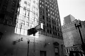 Stephen Porter Whipple (@s_p_whipple) • Instagram photos and videos