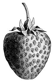 Vintage Strawberry Clip Art Black And White Graphics Clipartix Happy new year text png. vintage strawberry clip art black and
