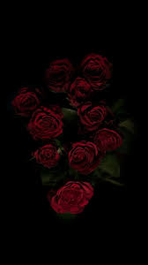 #backgroundsforphones | red and black wallpaper, red. Dark Roses Aesthetic Wallpapers On Wallpaperdog