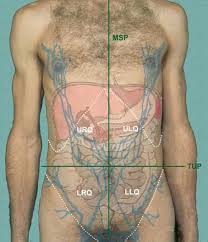 Abdominal pain in the lower left side is more commonly noticed than in the right side. Skeleton And Walls Of Abdomen