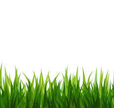 Related Image Grass Clipart Grass Grass Vector