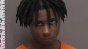 Minnesota teen 'hugged' 14-year-old ex after 'slitting her throat and  stabbing her a dozen times'