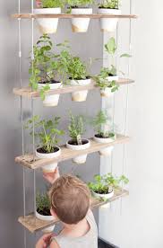 This Diy Herb Wall Is The Most Stylish Way To Add Green To Your Kitchen Jardin Aromatique Suspendu Mur D Herbe Herbes Suspendu
