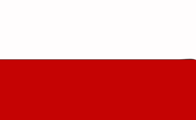 Flag of poland1 rgb 255 0 0.png 3,200 × 2,000; Poland Flag Icons Png Free Png And Icons Downloads