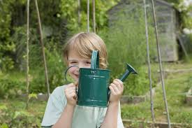40 cm und wird ca. Garten Und Landschaftsbau Gartenpassion Gmbh Uber Uns