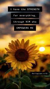 Search free aesthetic sunflowers wallpapers on zedge and personalize your phone to suit you. Pin On A M E N